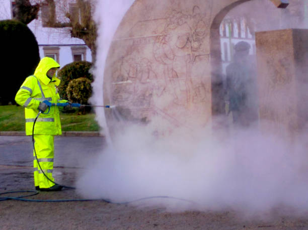 Best Best Pressure Washing Companies  in Macon, IL